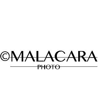 Raúl Muñoz Fotografía | Bodas
