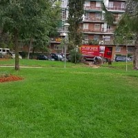 Mudanzas Madrid económicas