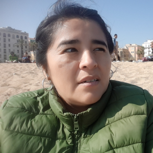 Reparación de Termoacumulador