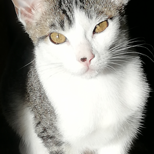 Mercé  - Limpieza tras obra