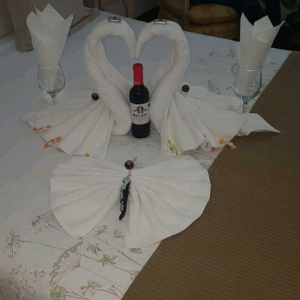 Verónica Limpieza a Domicilio