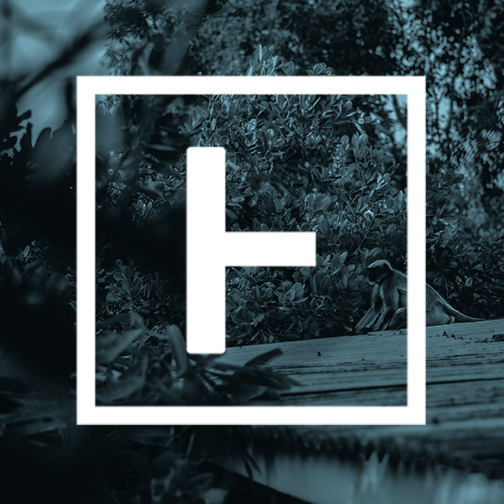 Servicio de edición de video