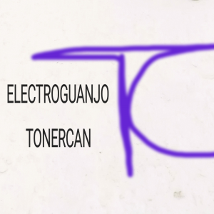 Electroguanjo - Reformas