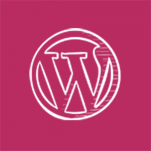 Tu experto en WordPress