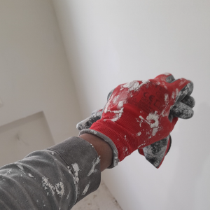 Pinturas asturoviedo