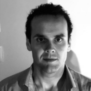 Profesional del Coaching