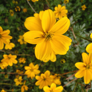 Claudia | Nutrición deportiva