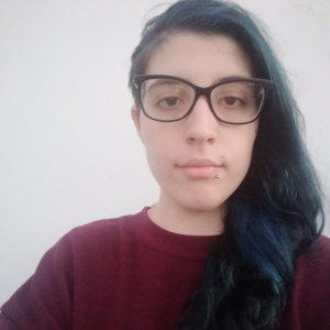 Anayara Limpieza a Domicilio