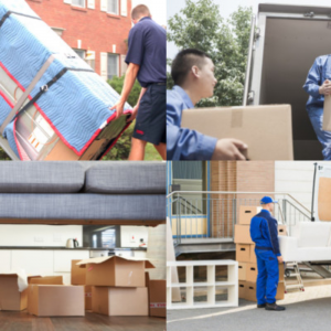 Thersuz - Empresa de Mudanzas