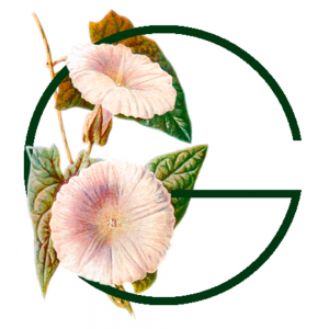 Ruth Giráldez Fotografía