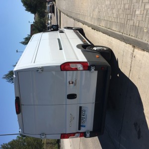 Albañiles profesionales