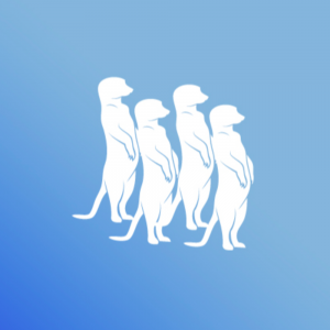 Dayvo | Gestión de Red Social