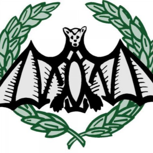 Limpiezas Lo Rat Penat SL