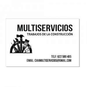 Ciaa Multiservicios