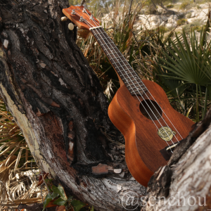 SenchouPics - Fotografía