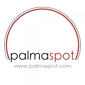 Palma Spot - Diseño web