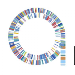 Amaia Certificación Energética
