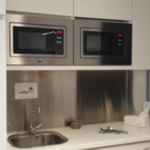 Rebeca Daniela Raicu