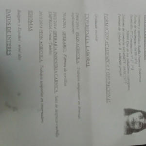 Radka |  Transportamos todo