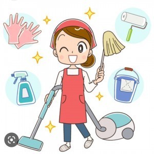 Limpieza Chimeneas Profesional