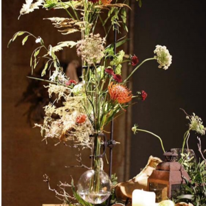 V. Vilas | Decoradora Interior