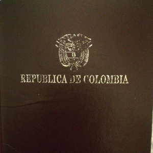 Dayana Pérez | Mudanza fácil