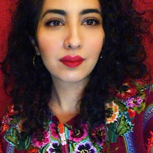 Gestor de redes sociales