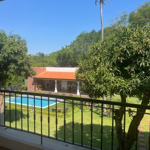 Garden mantenimiento