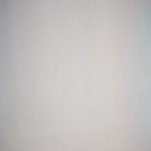 Florencio Pinto Mendoza