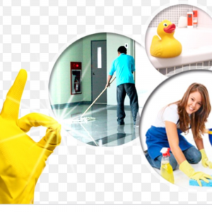 Limpiezas de temporada para hogares