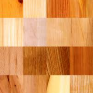 Enrique Aparicio Gil