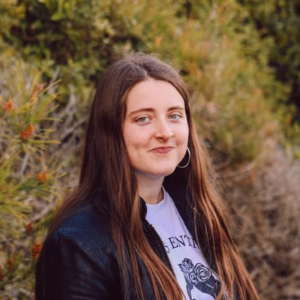 Técnico en Proyectos Visuales